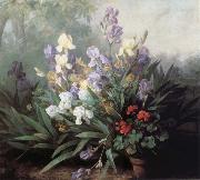Barbara Bodichon Landscape with Irises